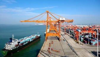 欽州港海關陸海新通道專窗 24小時通關加速，助力港口裝卸搬運高效運轉